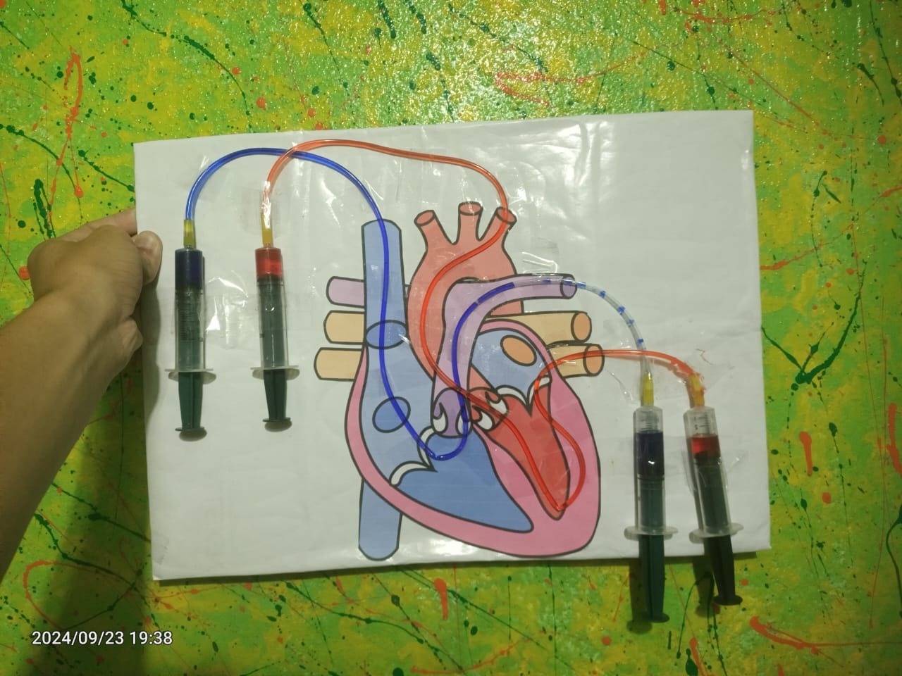 Teaching Session Image 26